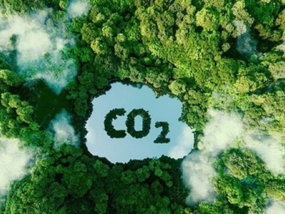 Bài học từ chương trình chuyển nhượng tín chỉ carbon đầu tiên của Việt Nam 