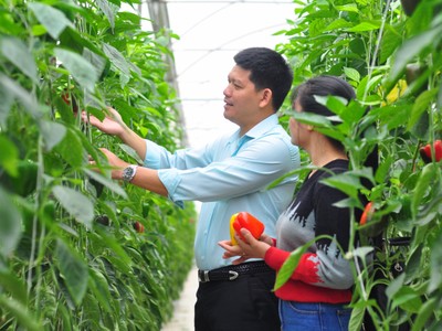 Hà Nội phấn đấu trở thành địa phương đi đầu trong phát triển nông nghiệp sinh thái, nông thôn hiện đại.