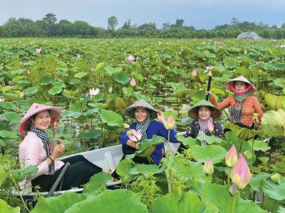 Tận dụng lợi thế về thiên nhiên, môi trường, tỉnh Đồng Tháp tập trung phát triển du lịch xanh, định vị thương hiệu Đất sen hồng