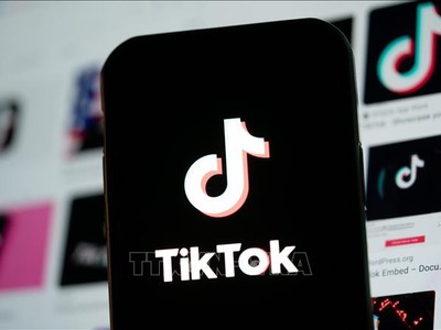 Biểu tượng TikTok trên màn hình điện thoại di động. Ảnh tư liệu: THX/TTXVN
