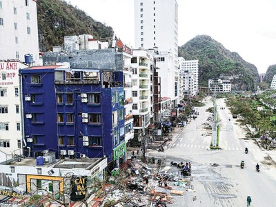 Hình ảnh tan hoang tại đảo Cát Bà sau khi bão số 3 càn quét