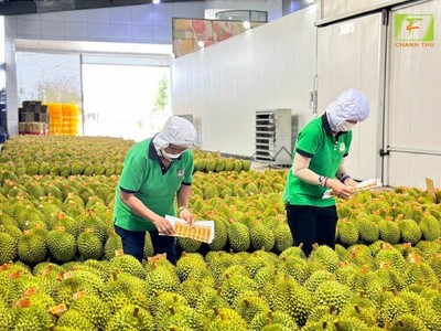 Nông sản phá kỷ lục xuất khẩu, tạo đà tăng trưởng cho năm 2025 