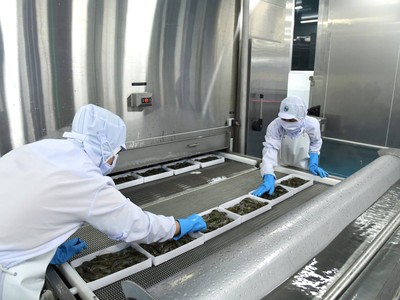 Xuất khẩu thuỷ sản trong năm 2025 được dự đoán nhiều thách thức hơn. (Ảnh: Lê Toàn)