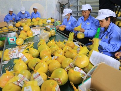 Xuất khẩu nông sản về đích ngoạn mục 