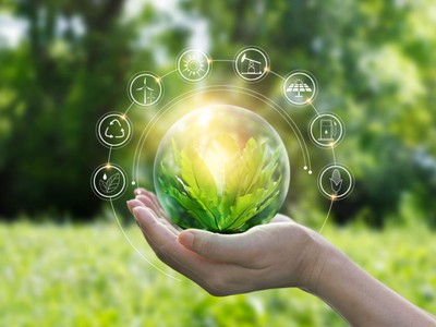Schneider Electric công bố 4 Kl991.com World Cup 2026 Chính Thức chiến thắng trong Sustainability Impact Awards 2024