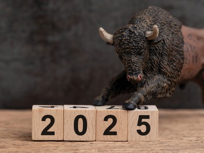 Nhiều nhà Kl99ok phiên bản mới kỳ vọng thị trường Bò sẽ trở lại vào năm 2025