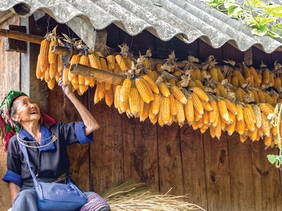 Chỉ cần Mẹ ở đó, tất cả đều bừng lên sức sống, như một phép màu giản dị nhưng diệu kỳ