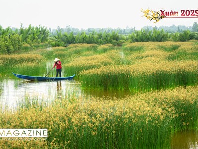 Đất và người cù lao Nam Bộ