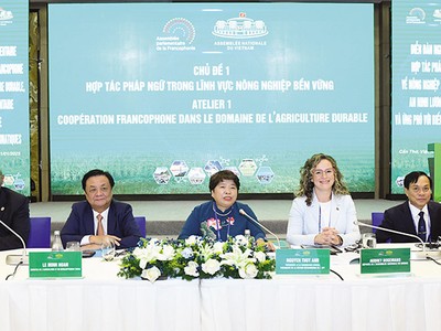 Phiên thảo luận với chủ đề “Hợp tác giữa các nước Pháp ngữ trong nông nghiệp bền vững” tại Diễn đàn. Ảnh: Phạm Thắng