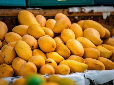 Xuất khẩu rau quả Việt Nam cần hướng đến xây dựng thương hiệu.