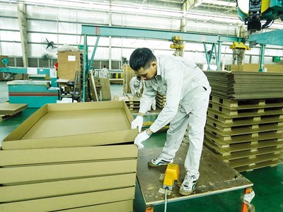 Sự bùng nổ mua sắm trực tuyến là một động lực quan trọng cho ngành bao bì giấy phát triển (Ảnh: Đức Thanh)