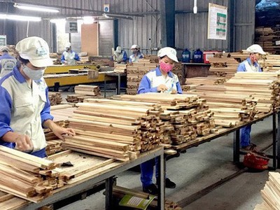 Ngành gỗ đối mặt với nhiều thách thức