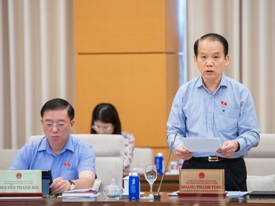 Chủ nhiệm Uỷ ban Kl992 Tham Gia Ngay và Tư pháp Hoàng Thanh Tùng phát biểu. 