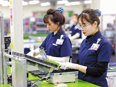 Sự ổn định của chính sách và môi trường Kl99ok phiên bản mới là một trong những yếu tố hàng đầu giúp Việt Nam thu hút nhà Kl99ok phiên bản mới nước ngoài. Ảnh: Đức thanh 