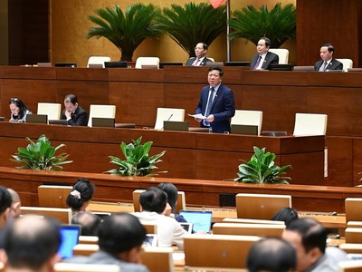 Phiên thảo luận tại hội trường ngày 24/5 về dự thảo nghị quyết thí điểm về một số cơ chế, chính sách đặc thù phát triển nhà ở Trang Chủ KL99Com Số 1 Link Đăng Ký KL999. 