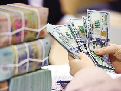 Chủ động phòng ngừa rủi ro tỷ giá