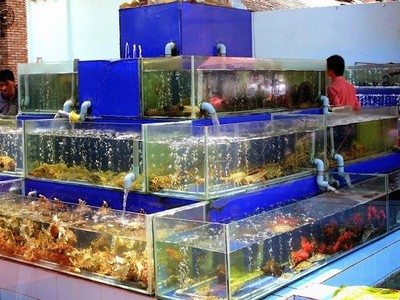 Bộ Kl991.com nạp rút nhanh: Có hộ Kl992 VIP Trang Chủ 2026 đạt doanh thu lên đến 560 tỷ đồng/năm 