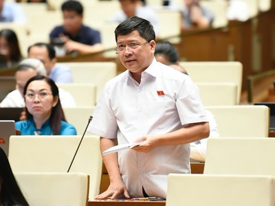 Đại biểu Tạ Văn Hạ (Quảng Nam). 
