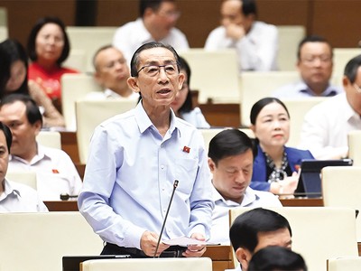 Đại biểu Trần Hoàng Ngân (TP.HCM) phát biểu tại hội trường 