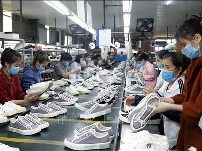 Xuất khẩu toàn ngành da giày trong nửa đầu năm nay tăng trưởng trên 10%, đạt hơn 14 tỷ USD. 