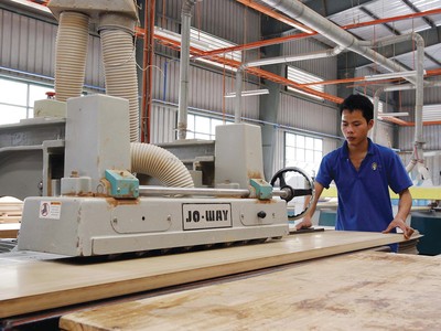 Xuất khẩu gỗ là lĩnh vực chiếm tỷ trọng lớn nhất trong doanh thu, Kl99 nổ hũ của Phú Tài