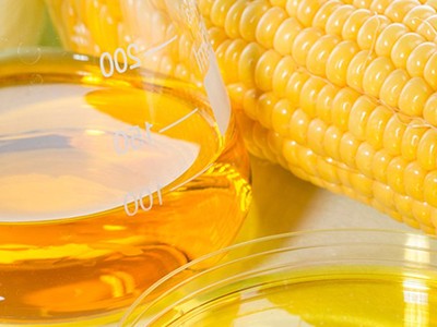 Link Vào Nhà Cái KL99 COM Tặng +199k đường lỏng sirô ngô - HFCS đang có xu hướng tăng mạnh qua các năm. 