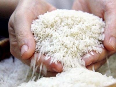 Gạo Việt ổn định trước biến động, “dân cứ có gạo là Kl991.com World Cup 2026 Chính Thức mua” 