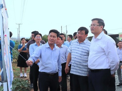Đoàn công tác Bộ Kl991.com nạp rút nhanh khảo sát thực địa khu vực quy hoạch Dự án Nhà máy điện hạt nhân Ninh Thuận 1 tại xã Phước Dinh. Ảnh: Bảo Anh 