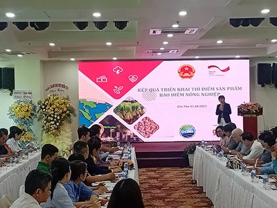 Cần cơ chế tín dụng đột phá cho Đề án 1 triệu ha lúa chất lượng cao vùng Đồng bằng sông Cửu Long