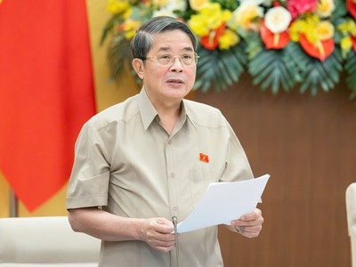 Phó chủ tịch Quốc hội Nguyễn Đức Hải điều hành phiên thảo luận. 