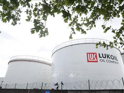 Các bể chứa dầu của công ty Lukoil tại Brussels, Bỉ. Ảnh minh hoạ: AFP/TTXVN