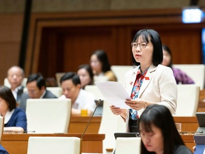 Đại biểu Nguyễn Thị Việt Nga (Hải Phòng).