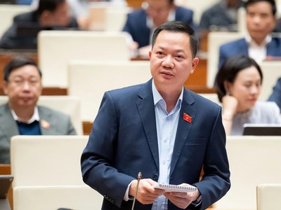 Đại biểu Trịnh Xuân An (Đồng Nai) phát biểu tại hội trường. 