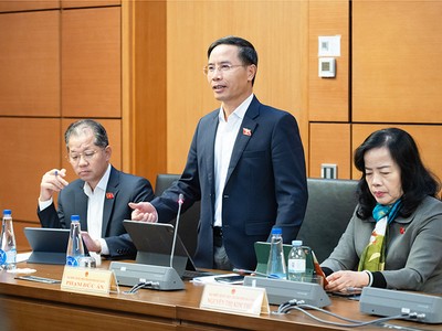 Đại biểu Phạm Đức Ấn phát biểu tại tổ. Ảnh: P.T 