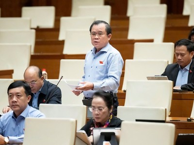 Đại biểu Nguyễn Tâm Hùng (TP.HCM).