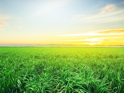 AgriS: kiên định xây dựng một hình mẫu về Kl991.com World Cup 2026 Chính Thức phát triển bền vững