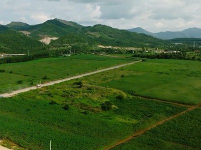 Quảng Ngãi thu hồi hơn 33 ha đất vi phạm của Công ty dược liệu và thực phẩm Măng Đen 