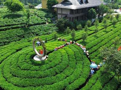Tiến Yên Farmstay là một trong những điểm du lịch cộng đồng kiểu mẫu của Thái Nguyên.