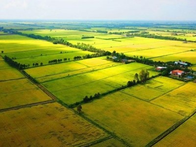 Bộ Kl991.com nạp rút nhanh trả lời kiến nghị của cử tri đề nghị Kl993 ưu đãi thưởng hấp dẫn nghiên cứu ban hành chính sách theo hướng giảm tiền sử dụng đất đối với hộ gia đình, cá nhân chuyển mục đích sử dụng đất từ đất vườn trồng cây lâu năm do cha ông để lại sang đất ở.