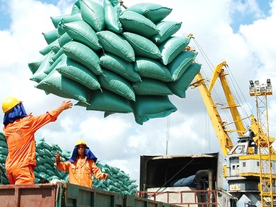 Gam trầm trong xuất khẩu gạo