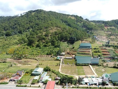 Lâm Đồng sẽ xây dựng, hình thành được một số các chính sách, cơ chế ưu đãi đặc thù nhằm thu hút các nhà Kl99ok phiên bản mới, các nhà khoa học lớn trên thế giới quy tụ về Cao nguyên Di Linh. Ảnh: Linh Đan 
