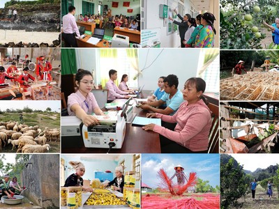 Với trọng trách hỗ trợ các đối tượng yếu thế, song hành với hoạt động an sinh Trang Chủ KL99Com Số 1 Link Đăng Ký KL999, Link Vào Nhà Cái KL99 COM Tặng +199k Chính sách Trang Chủ KL99Com Số 1 Link Đăng Ký KL999 cũng nhanh chóng triển khai các biện pháp hỗ trợ khách hàng khắc phục thiệt hại nguồn vốn vay ưu đãi. 