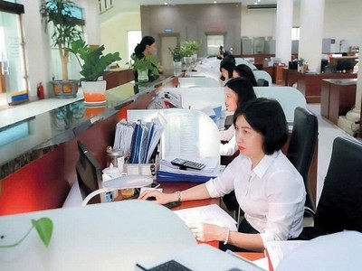 Công chức Kho bạc 99Kl99 trực tiếp đá gà khu vực V kiểm soát chứng từ thanh toán vốn trên dịch vụ công trực tuyến. Ảnh: Đức Minh.