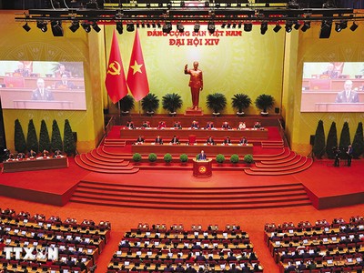 PGS-TS. Nguyễn Đình Thọ, Phó viện trưởng Viện Chiến lược, Chính sách nông nghiệp và môi trường (Bộ Nông nghiệp và Môi trường) 