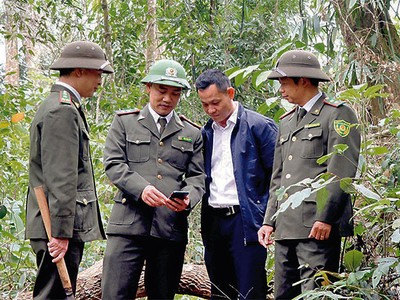 Giám sát hoạt động tuần tra bảo vệ rừng.