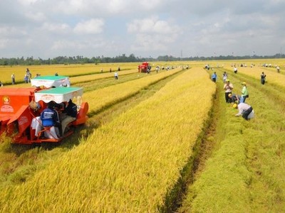 Bộ Kl991.com nạp rút nhanh đề xuất nâng mức hỗ trợ phí Kl99kl phiên bản hoạt động nông nghiệp lên tối đa 95% với hộ nghèo.
