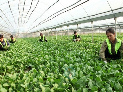 Kl993 ưu đãi thưởng hấp dẫn yêu cầu tạo mọi điều kiện thuận lợi theo quy định của Kl992 Tham Gia Ngay để khu vực Kl992 cổng game cá cược tập thể, hợp tác xã phát triển nhanh, bền vững. 
