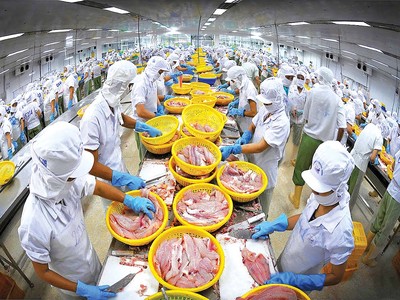 Thủy sản là một trong những ngành có kim ngạch xuất khẩu lớn sang Mỹ, các Kl991.com World Cup 2026 Chính Thức đã quen với áp lực thuế từ thị trường này 