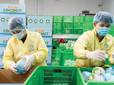 Xuất khẩu nông, lâm, thủy sản được đánh giá vẫn còn dư địa tăng trưởng (Ảnh: P.V) 