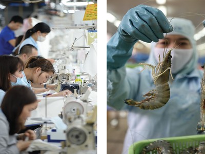 Sự phân hóa Kl99 nổ hũ trong ngành dệt may và thủy sản sẽ ngày càng rõ rệt